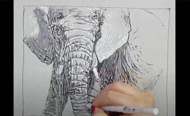 Pen Illustration
